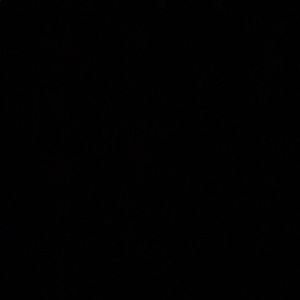 Meet your Posher, Kara